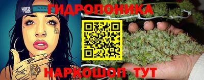 альфа пвп Бийск