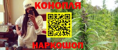 гашик Берёзовский