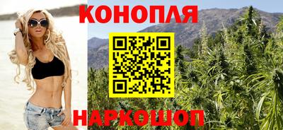 гашик Берёзовский