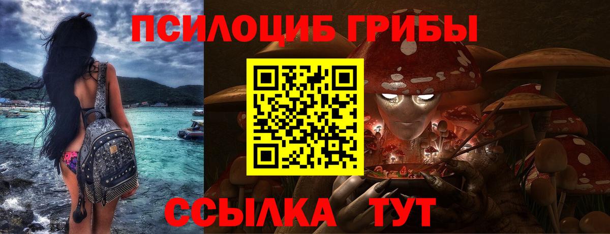 Псилоцибиновые грибы MAGIC MUSHROOMS Ивантеевка