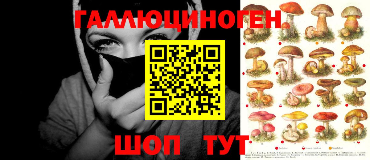 Галлюциногенные грибы Magic Shrooms  Вход с VPN  Ивантеевка  Псилоцибиновые грибы GOLDEN TEACHER 